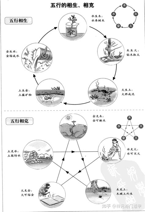 梓 五行 土馬命